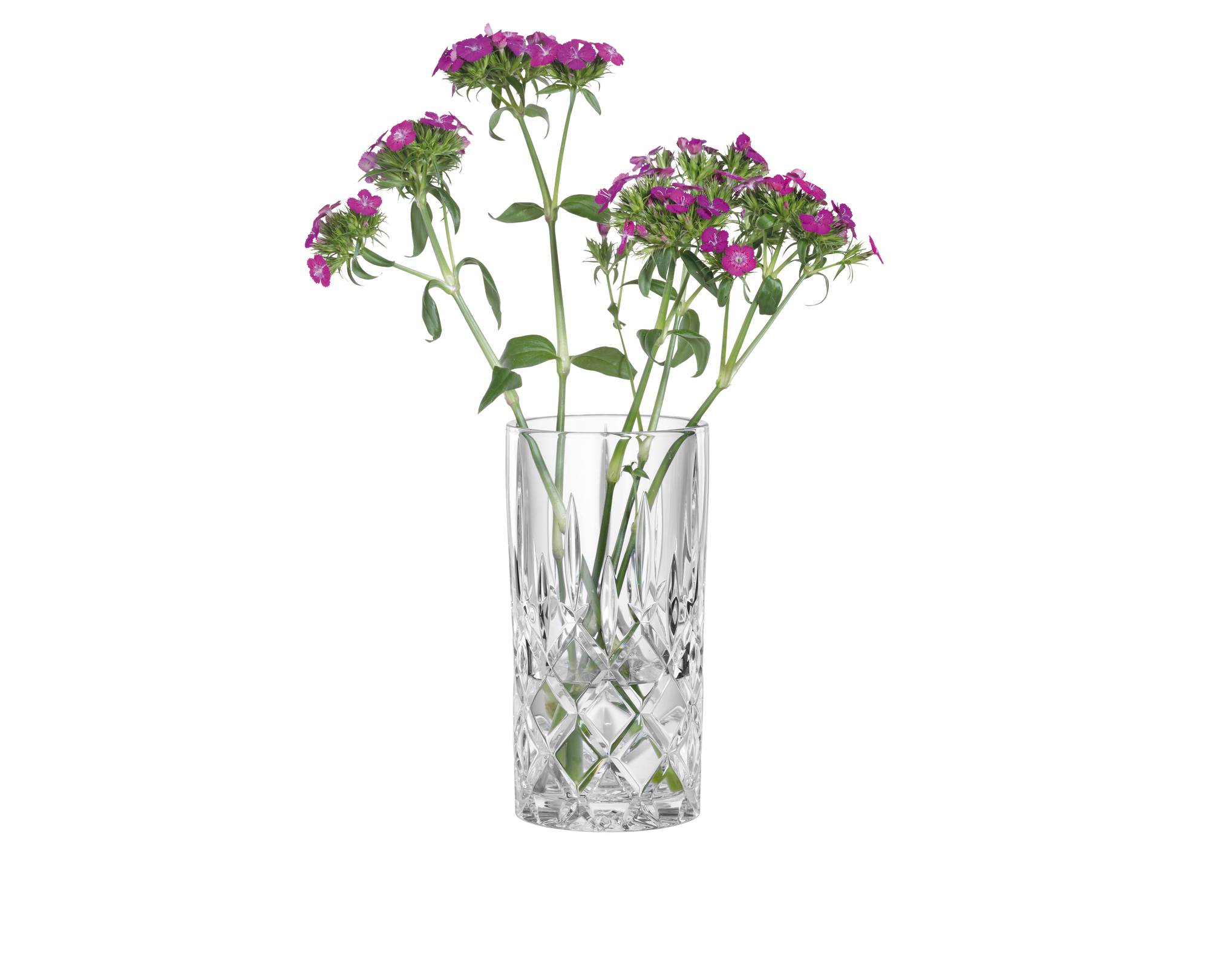 NACHTMANN Noblesse Vase / Hurricane Lamp - 23cm | 9.094in